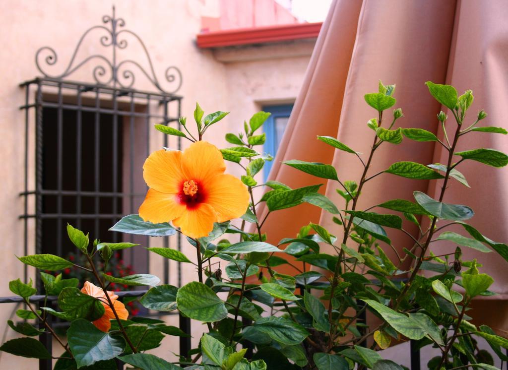 Hotel Conde de Cárdenas Córdoba Exterior foto